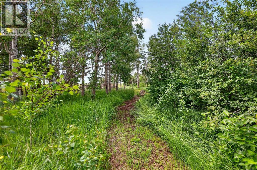 255049 Twp Rd 300 - 40