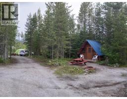 991 West Frontage Road, Blue River, BC V0E1J0 Photo 14