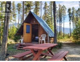 991 West Frontage Road, Blue River, BC V0E1J0 Photo 16