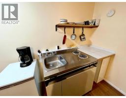 509 Slocan Avenue, New Denver, BC V0G1S0 Photo 14