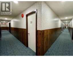 509 Slocan Avenue, New Denver, BC V0G1S0 Photo 12