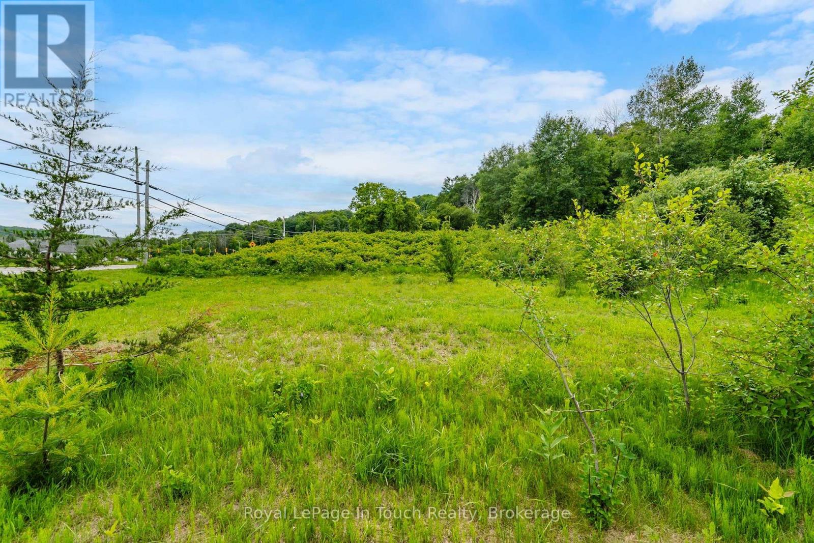 204 GIANETTO DRIVE, Midland — photo 3