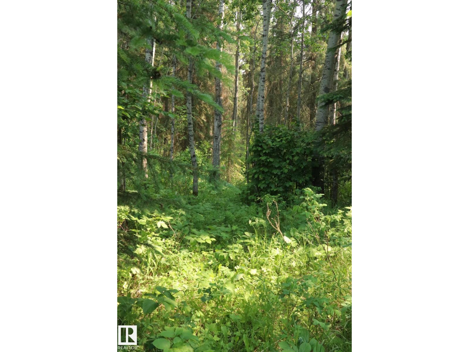 23431 TWP ROAD 604 - 27