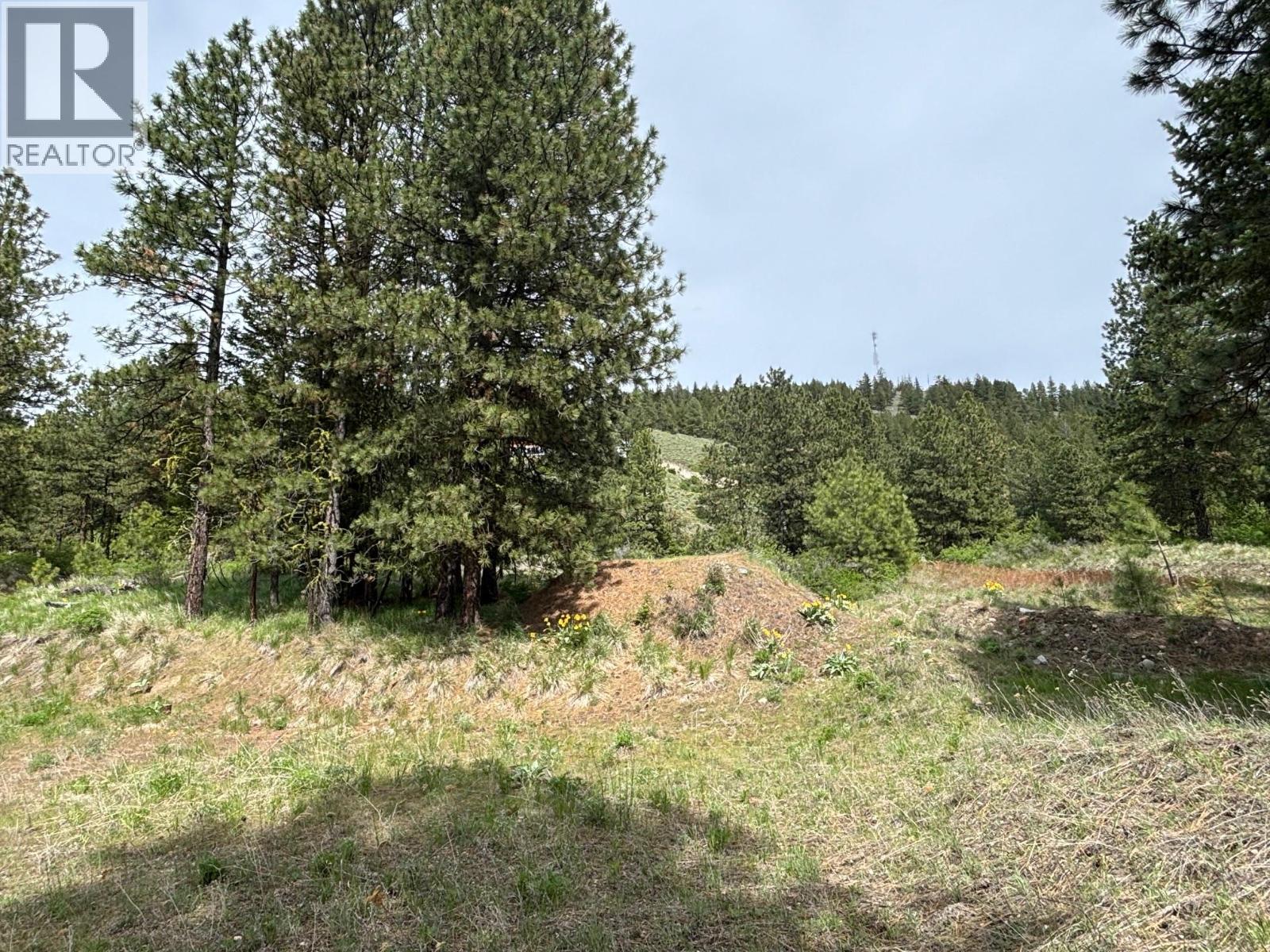  500 Sasquatch Trail, Osoyoos