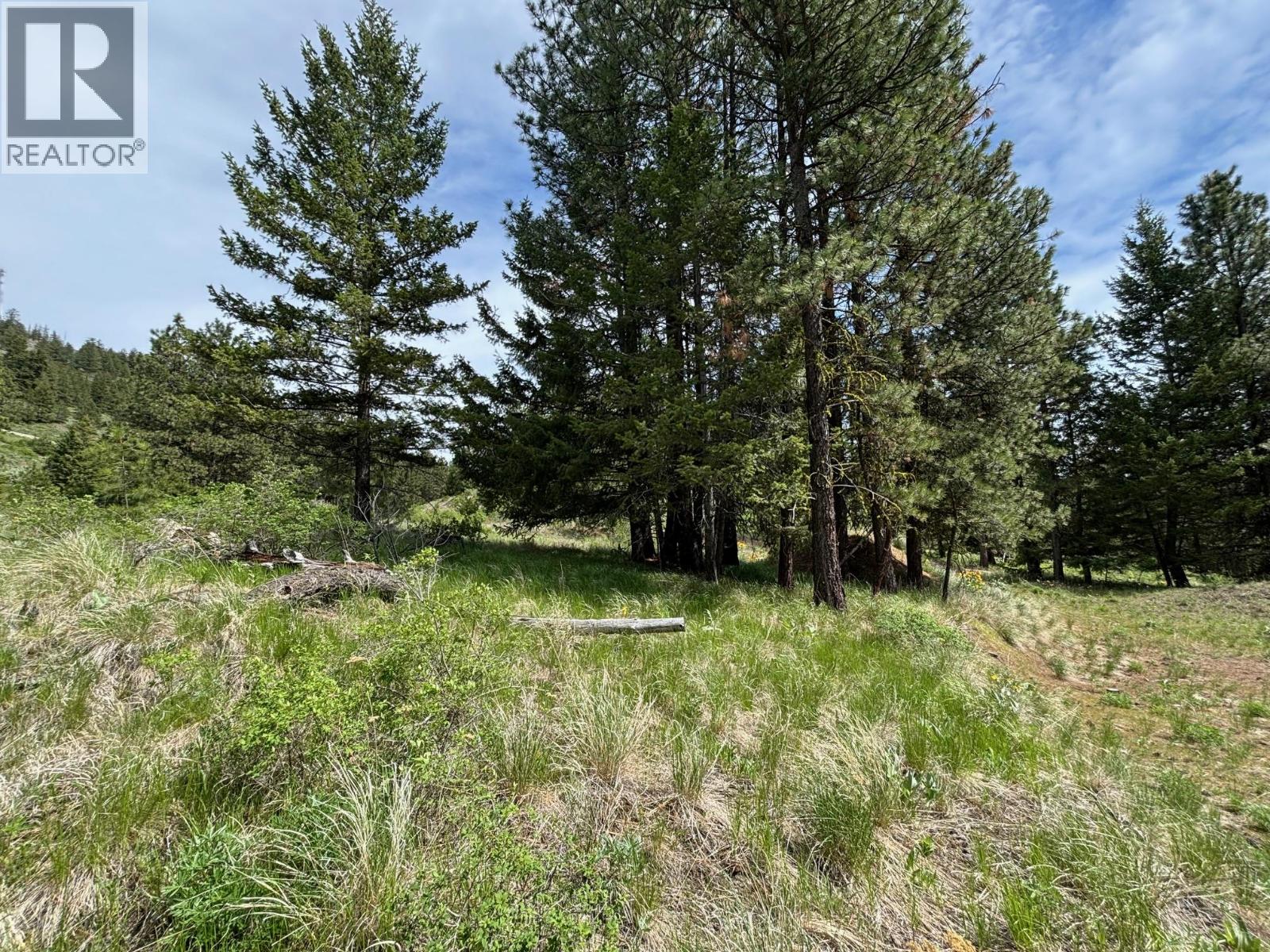  500 Sasquatch Trail, Osoyoos