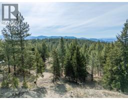 490 Wapiti Way, Osoyoos, BC V0H1V6 Photo 16