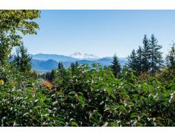33172 Hill Avenue, Mission, BC V2V2R6 Photo 25