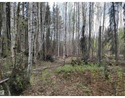 624072 Rge Road 241, Rural Athabasca County, AB T0G1Z0 Photo 22