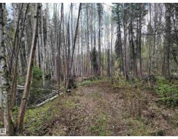 624072 Rge Road 241, Rural Athabasca County, AB T0G1Z0 Photo 20