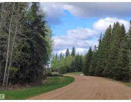 624072 Rge Road 241, Rural Athabasca County, AB T0G1Z0 Photo 74