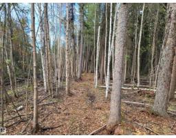 624072 Rge Road 241, Rural Athabasca County, AB T0G1Z0 Photo 21