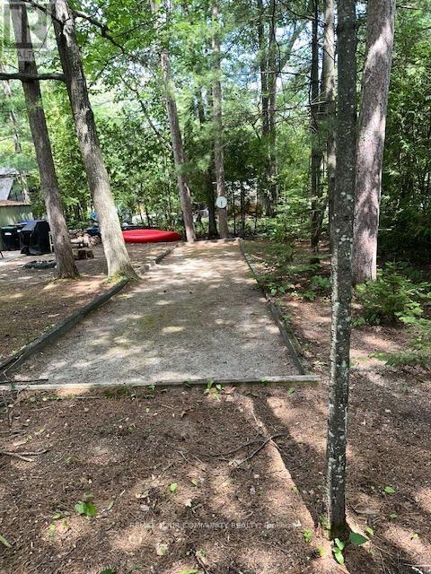 341 TINY BEACHES ROAD N - Image 4