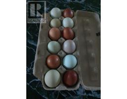 8178 Nova Scotia Trunk 8, South Brookfield, NS B0T1X0 Photo 32