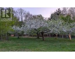 8178 Nova Scotia Trunk 8, South Brookfield, NS B0T1X0 Photo 41