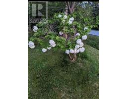 8178 Nova Scotia Trunk 8, South Brookfield, NS B0T1X0 Photo 45