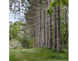8178 Nova Scotia Trunk 8, South Brookfield, NS B0T1X0 Photo 37