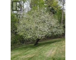 8178 Nova Scotia Trunk 8, South Brookfield, NS B0T1X0 Photo 40