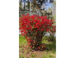 8178 Nova Scotia Trunk 8, South Brookfield, NS B0T1X0 Photo 47