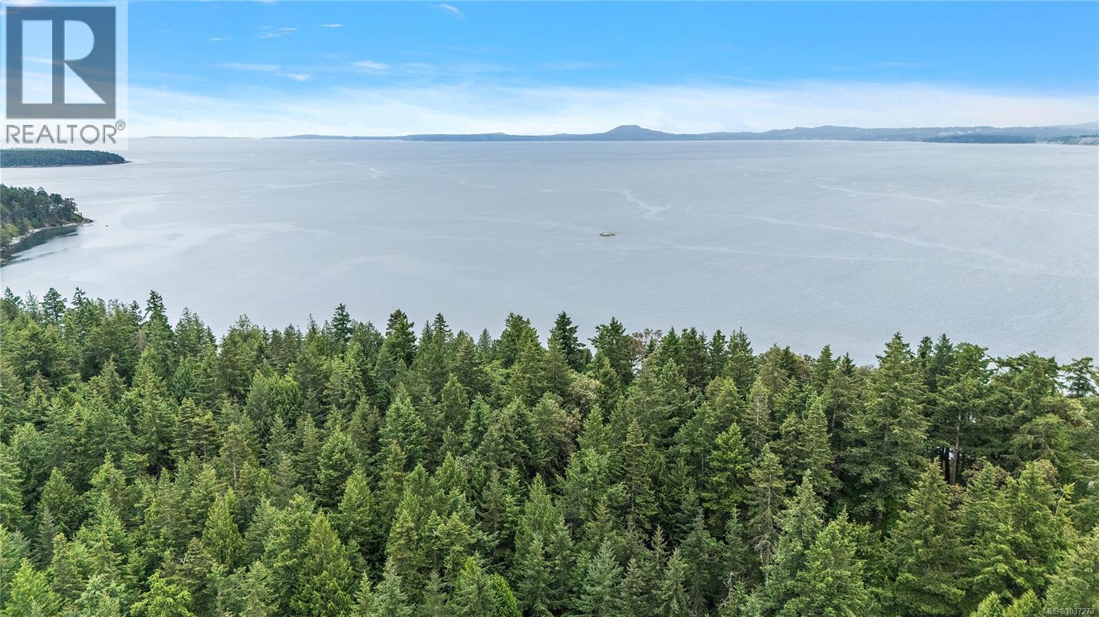 345 Evergreen Lane - 17