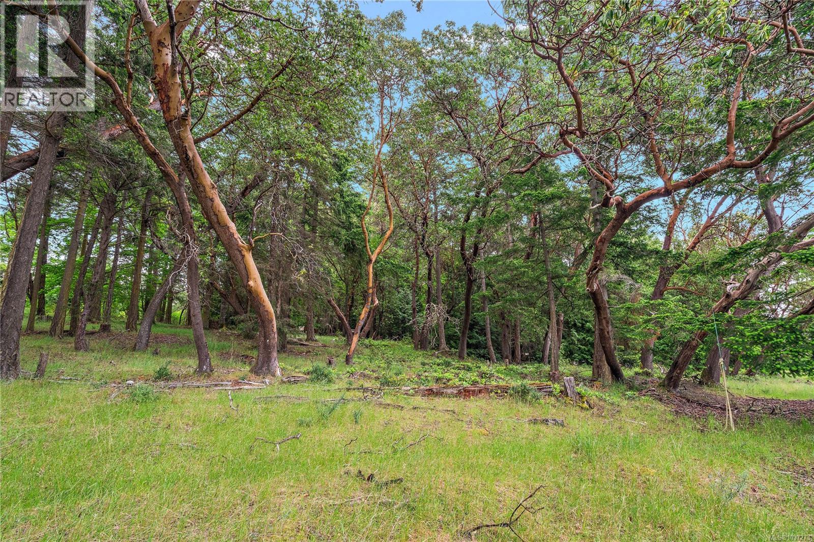 345 Evergreen Lane - 15