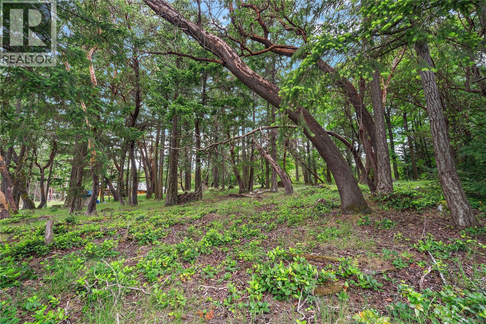 345 Evergreen Lane - Image 24