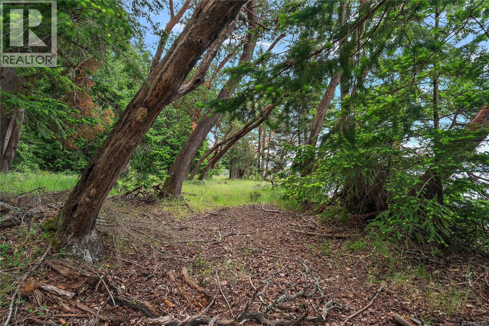 345 Evergreen Lane - Image 25