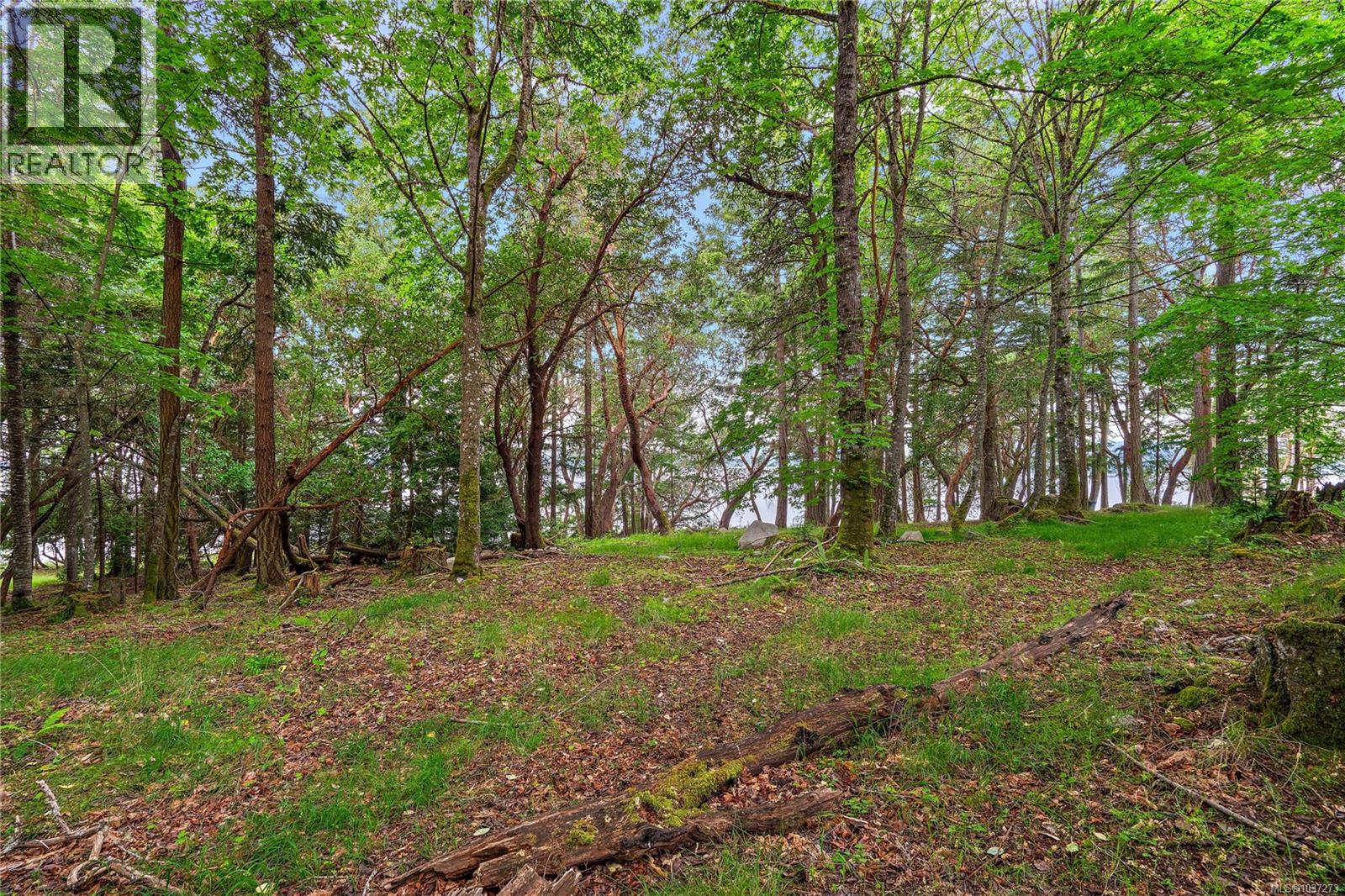 345 Evergreen Lane - Image 26