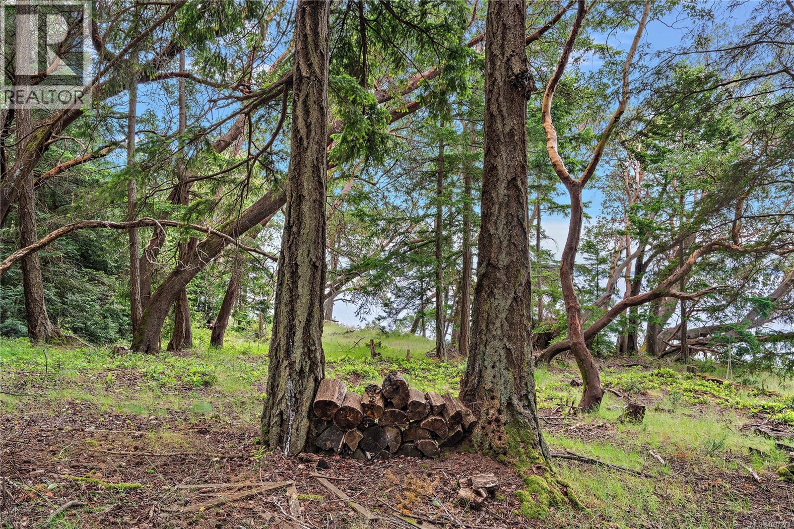345 Evergreen Lane - Image 21