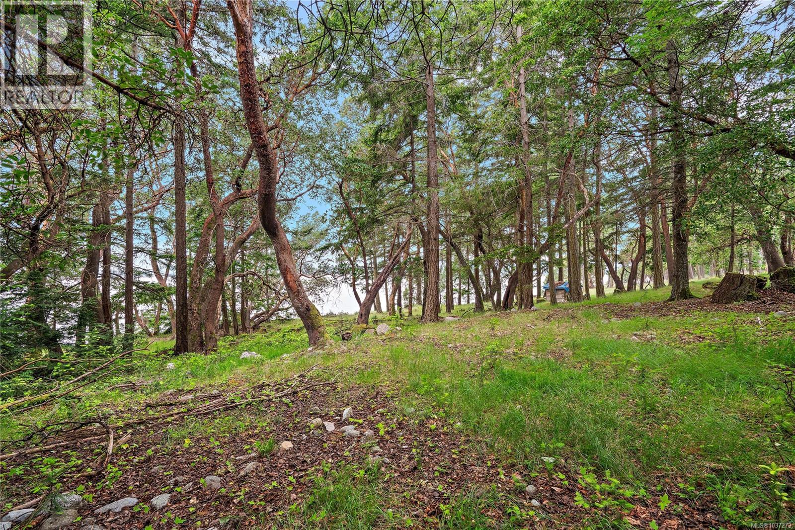 345 Evergreen Lane - 27