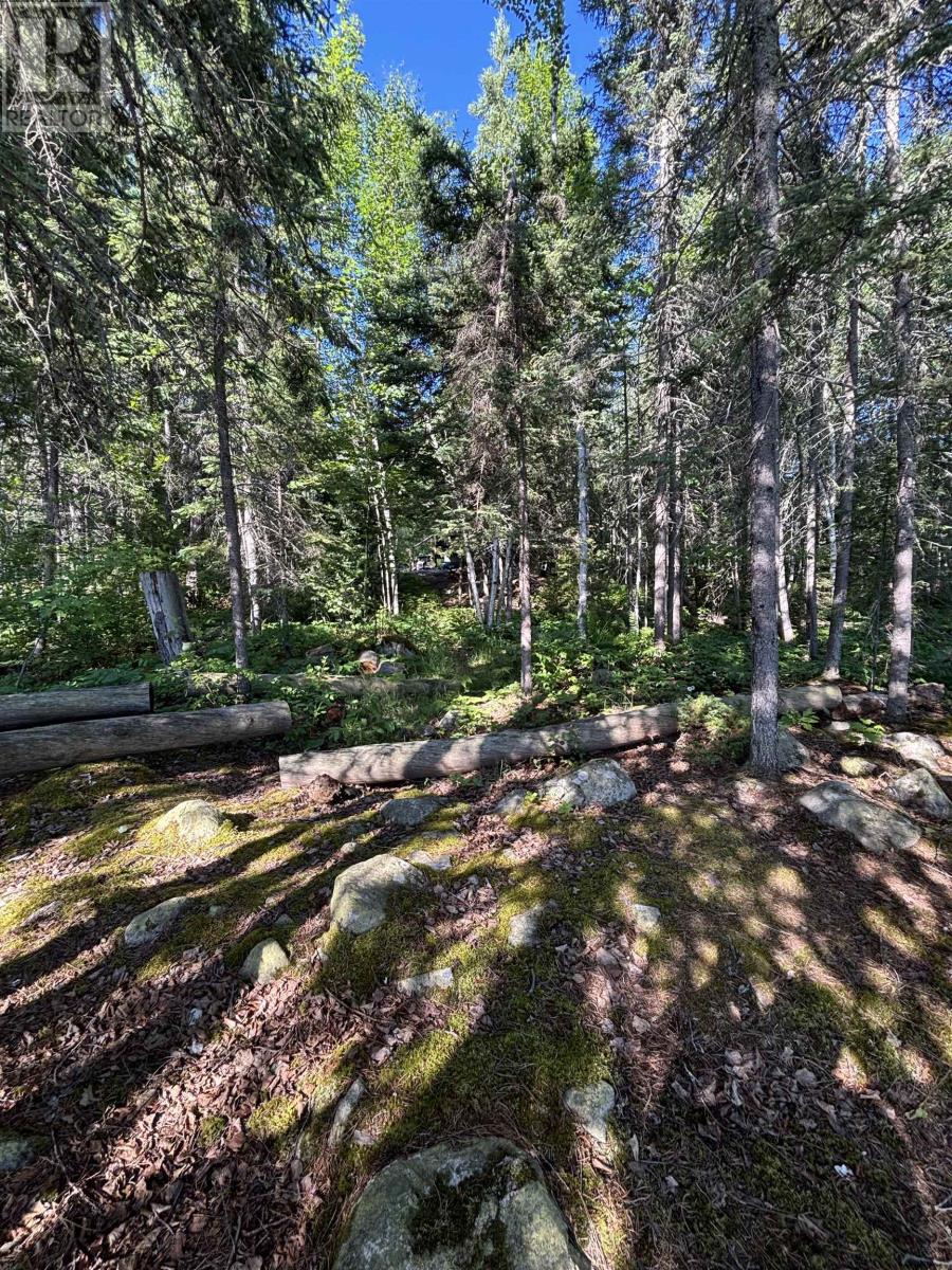 LOT 4 (Fire#42) Eva Lake West Rd. - 13