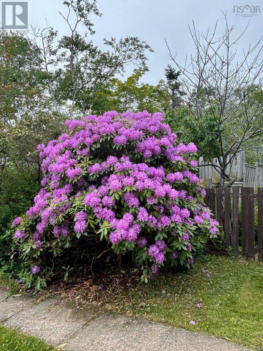 999 Mushaboom Road - 18