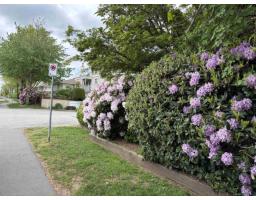 158 10077 156 Street, Surrey, BC V3R4L6 Photo 39