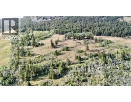 7091 Tatlayoko Road, Williams Lake, BC V0L1W0 Photo 19