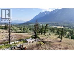 7091 Tatlayoko Road, Williams Lake, BC V0L1W0 Photo 13