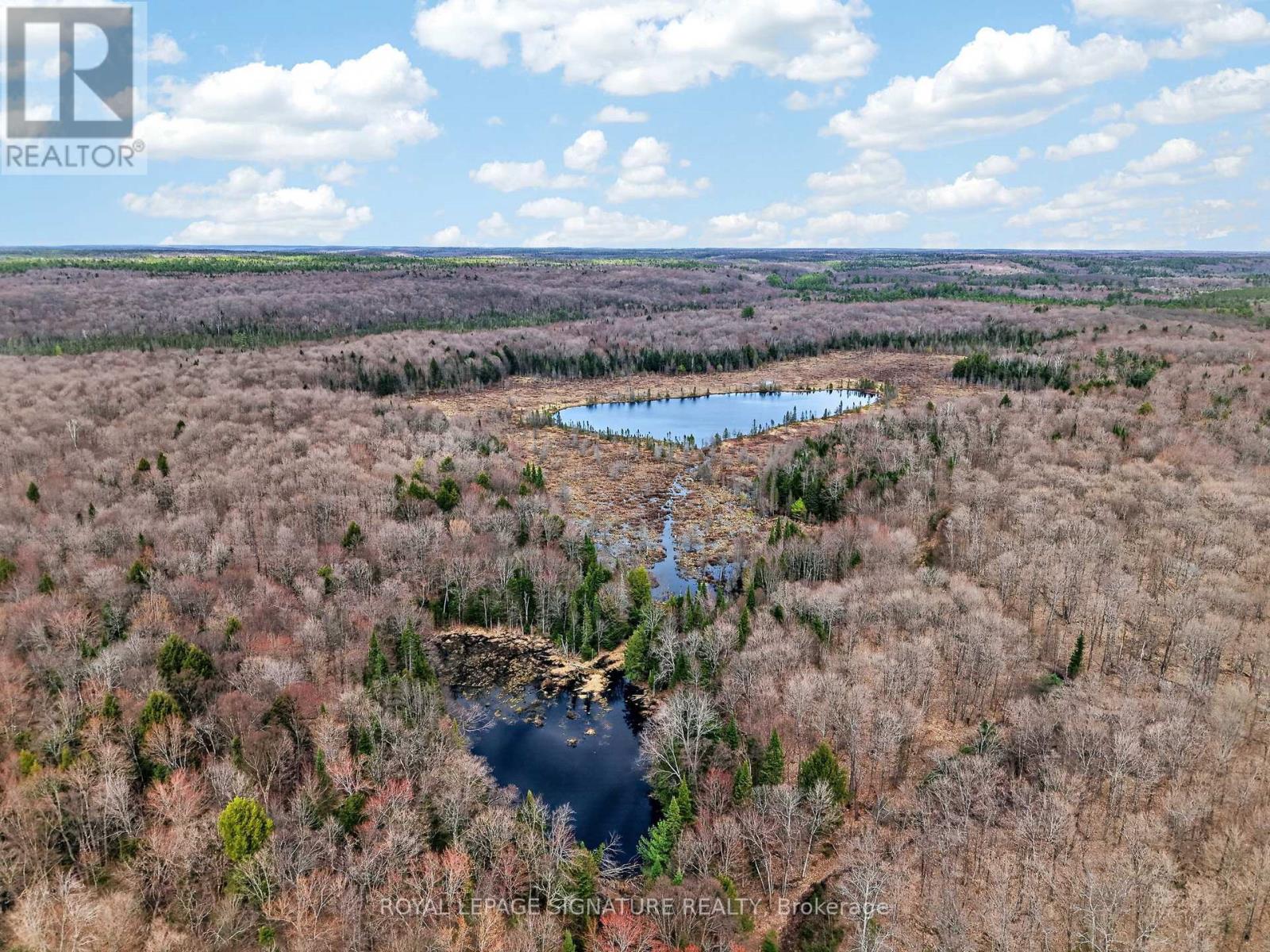 1170 PETER ROAD, Bracebridge (Macaulay) — photo 3