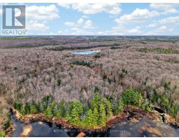 1170 Peter Road, Bracebridge, ON P1L1X3 Photo 32