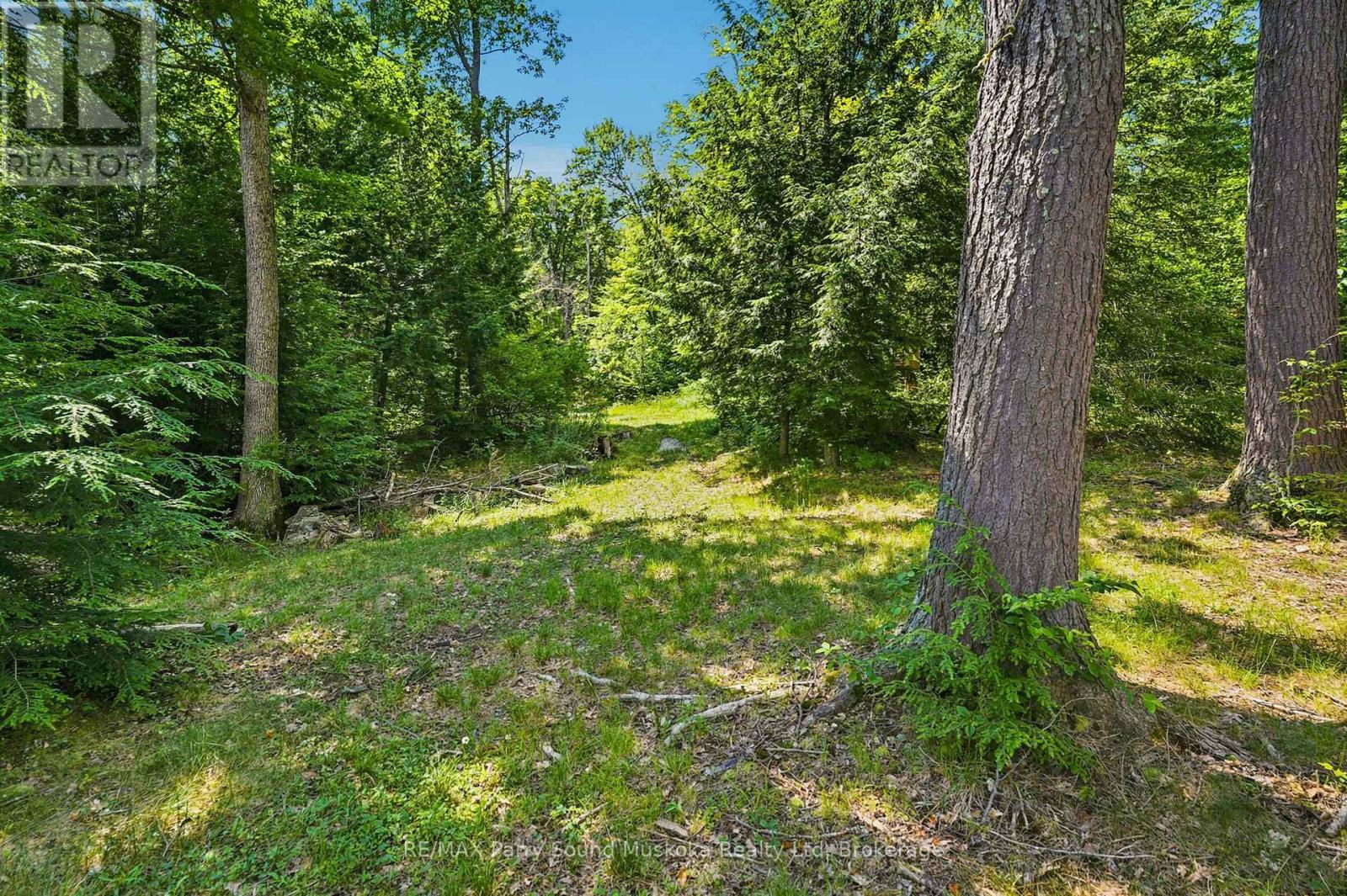 24 SOUTH CRANE LAKE ROAD - 32