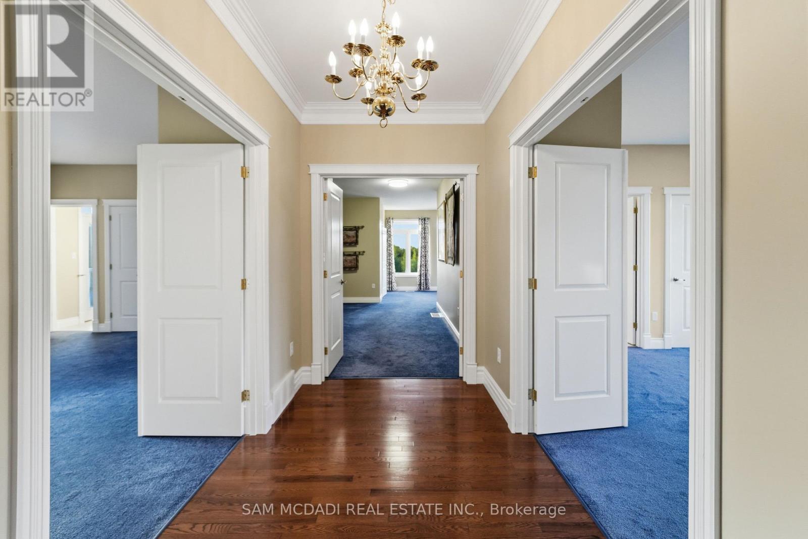 53 PETER STREET - Image 31