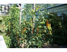 215 2238 Kingsway Street, Vancouver, BC V5N2T7 Photo 31