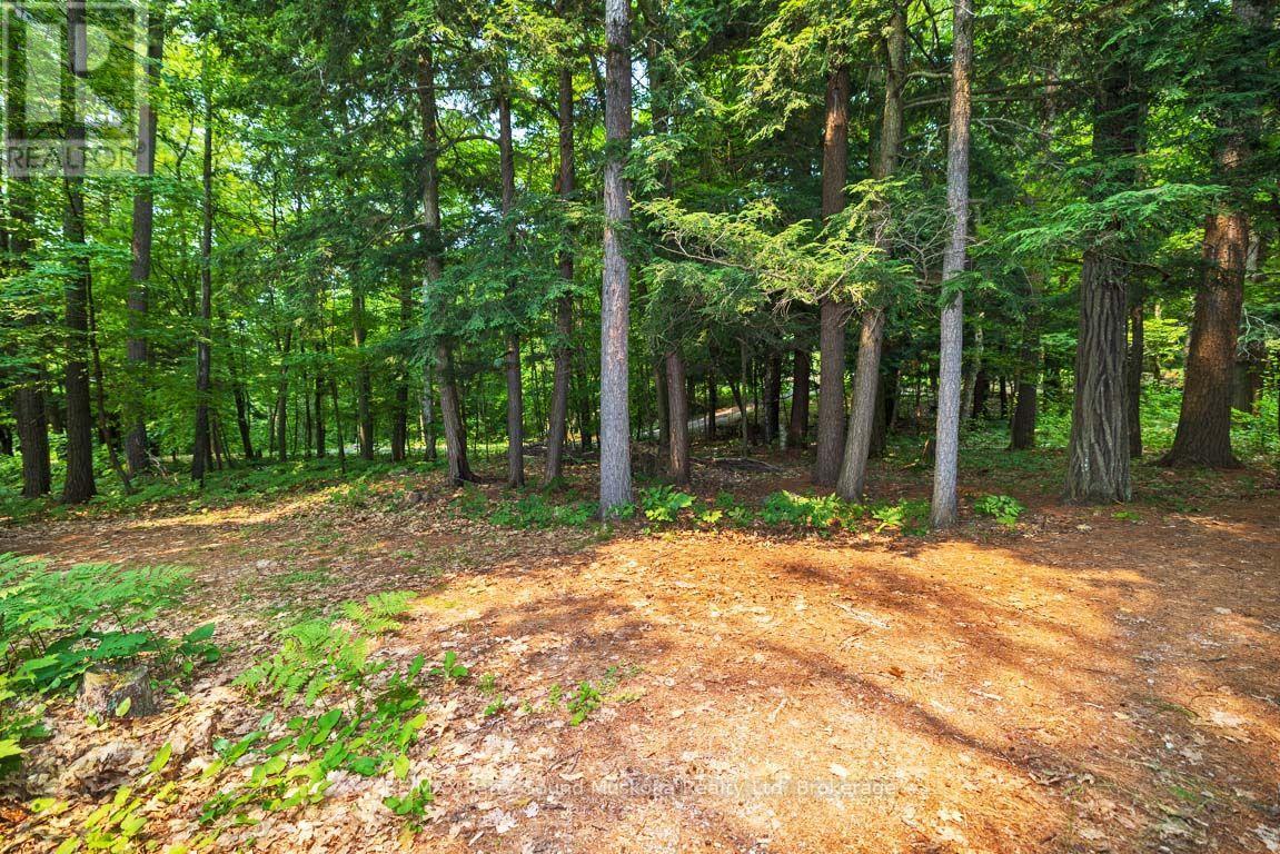 231 BLIND BAY COTTAGERS ROAD - 28