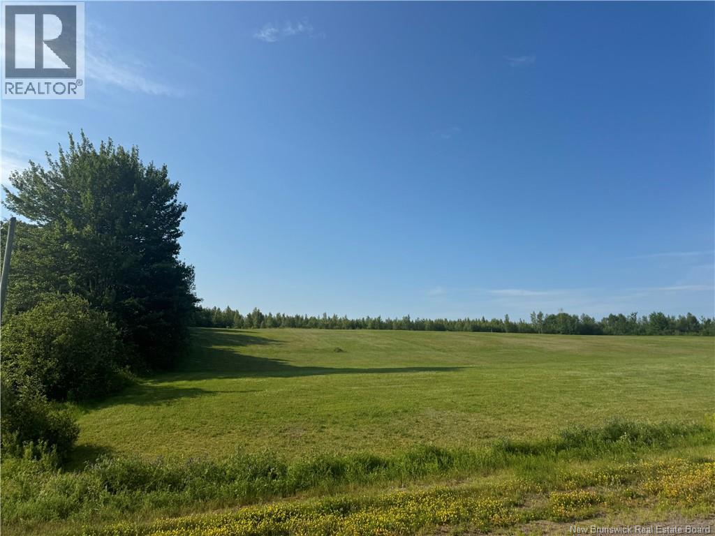 Lot 26-2 Ch Saint-Ignace, Saint-Ignace — photo 2