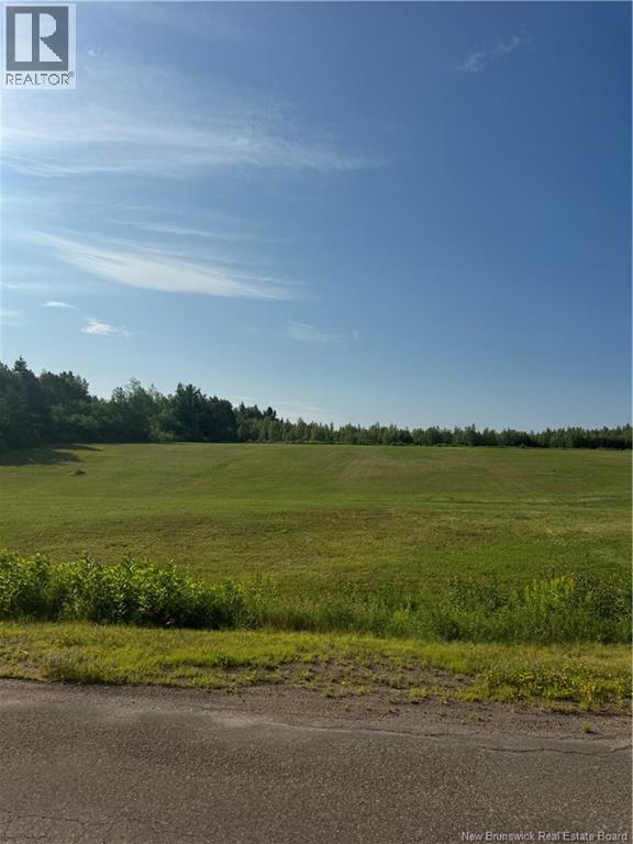 Lot 26-2 Ch Saint-Ignace, Saint-Ignace — photo 3
