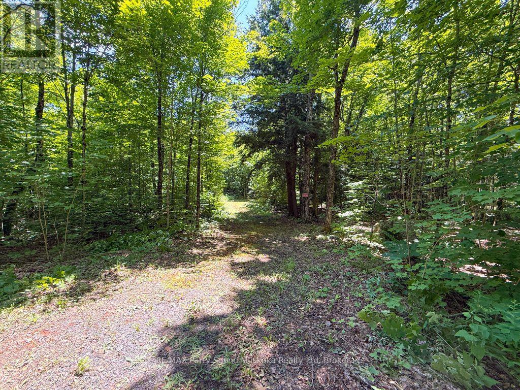 17 WHITE BEAVER TRAIL, McDougall — photo 3