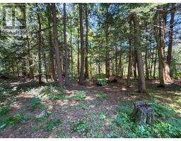 17 White Beaver Trail, Mcdougall, ON P2A2W7 Photo 6