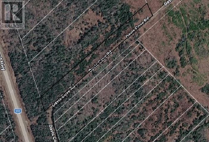 Lot, A. Davis Cove Road, Salmon River — photo 2