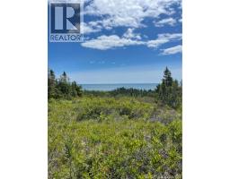 1888 Route 790, Dipper Harbour, NB E5J2R2 Photo 10