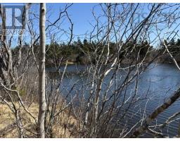 2022a Peajack Road, Westport, NS B0V1H0 Photo 11