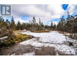 2022a Peajack Road, Westport, NS B0V1H0 Photo 21