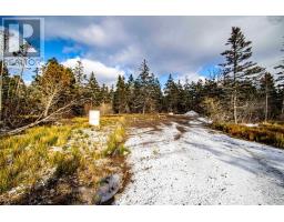 2022a Peajack Road, Westport, NS B0V1H0 Photo 23