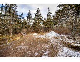 2022a Peajack Road, Westport, NS B0V1H0 Photo 24